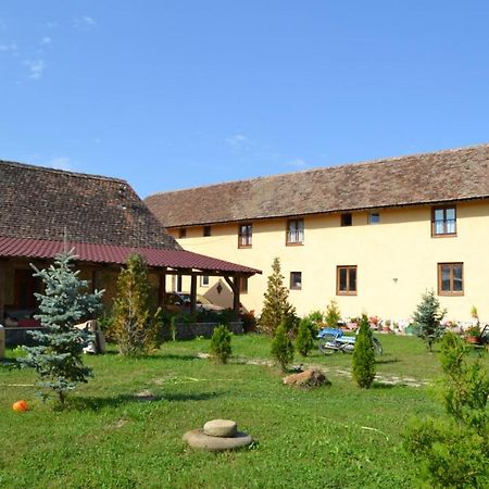 Casa Maria Appartement Cincu Buitenkant foto