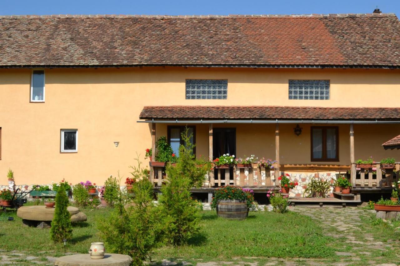 Casa Maria Appartement Cincu Buitenkant foto