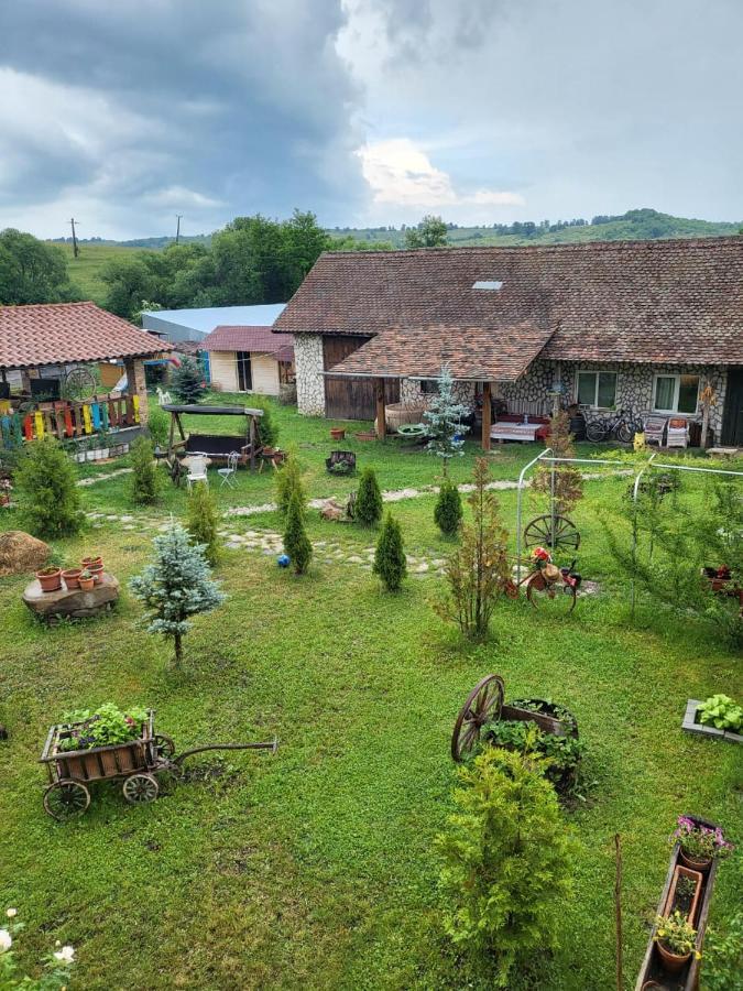 Casa Maria Appartement Cincu Buitenkant foto