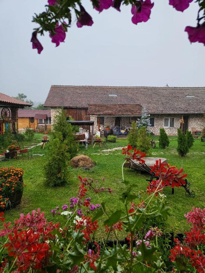 Casa Maria Appartement Cincu Buitenkant foto