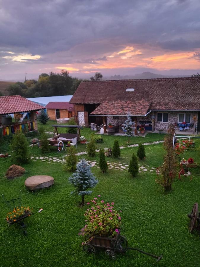 Casa Maria Appartement Cincu Buitenkant foto