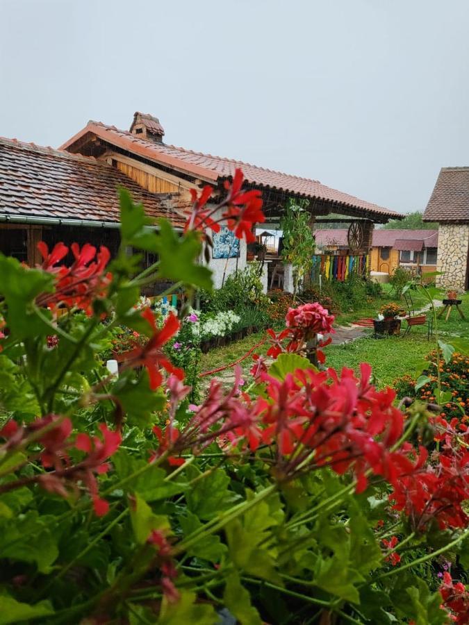Casa Maria Appartement Cincu Buitenkant foto