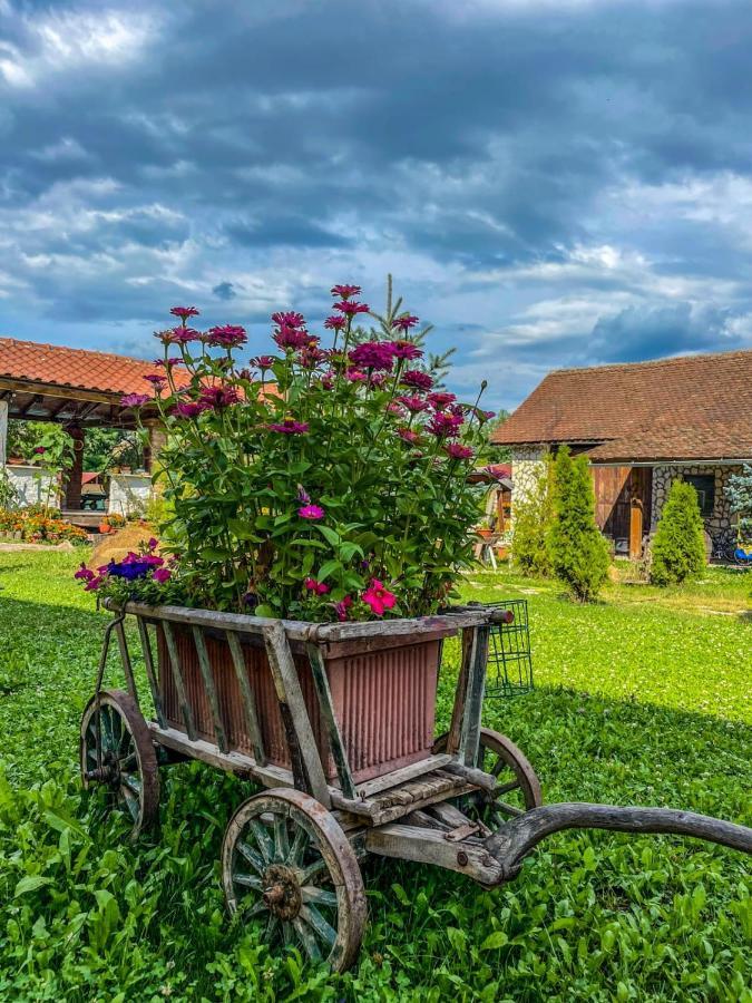 Casa Maria Appartement Cincu Buitenkant foto