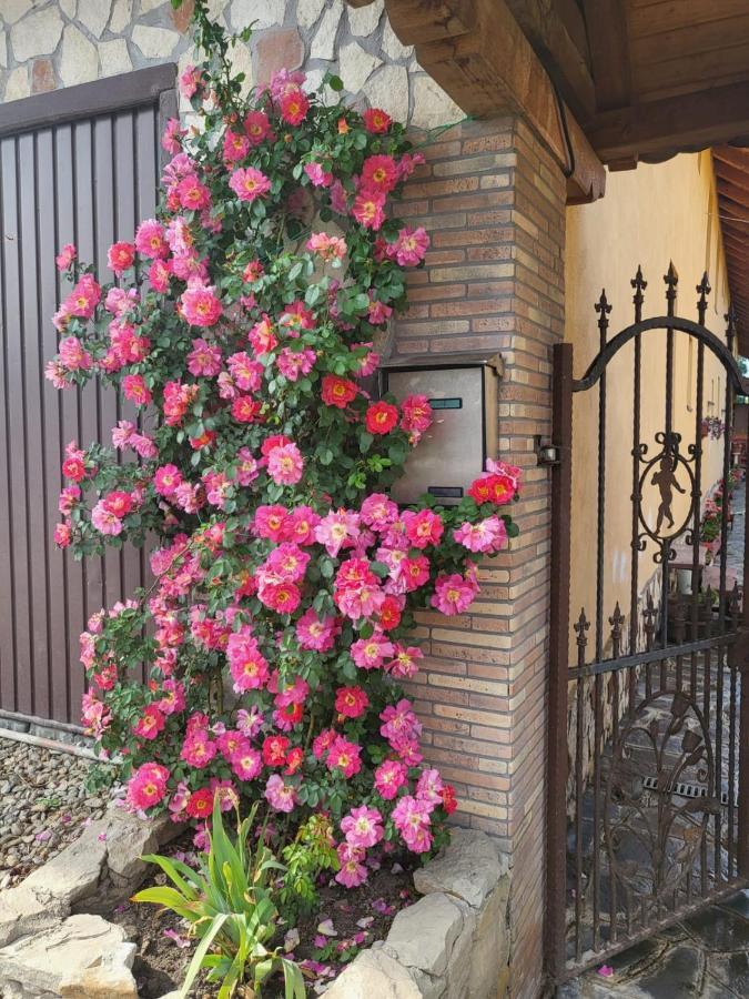 Casa Maria Appartement Cincu Buitenkant foto