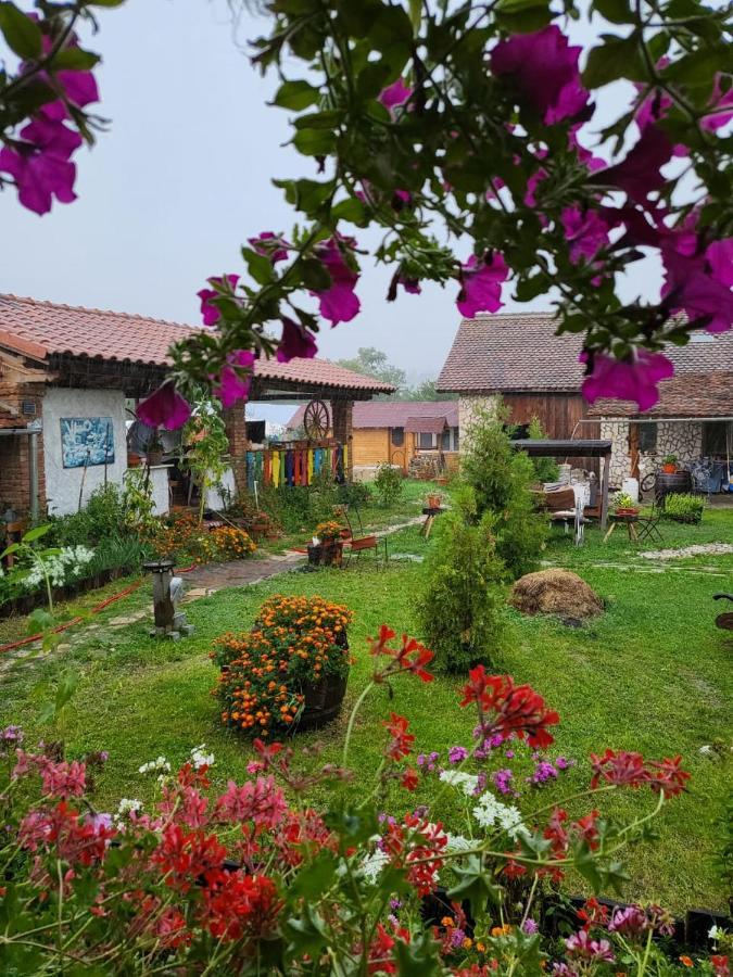 Casa Maria Appartement Cincu Buitenkant foto