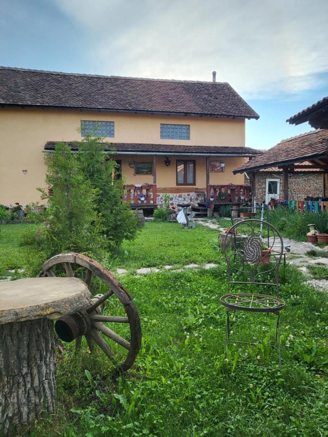 Casa Maria Appartement Cincu Buitenkant foto