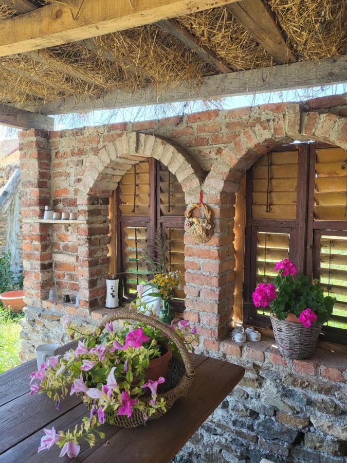 Casa Maria Appartement Cincu Buitenkant foto