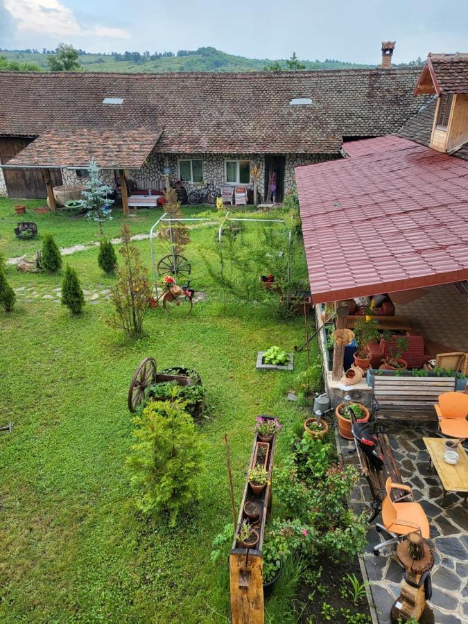 Casa Maria Appartement Cincu Buitenkant foto