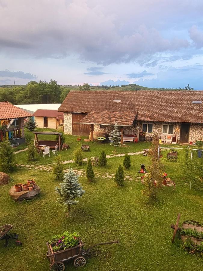 Casa Maria Appartement Cincu Buitenkant foto