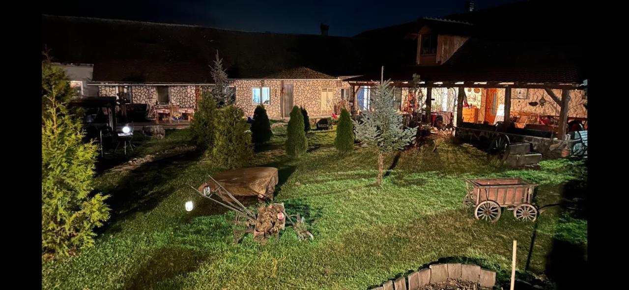 Casa Maria Appartement Cincu Buitenkant foto